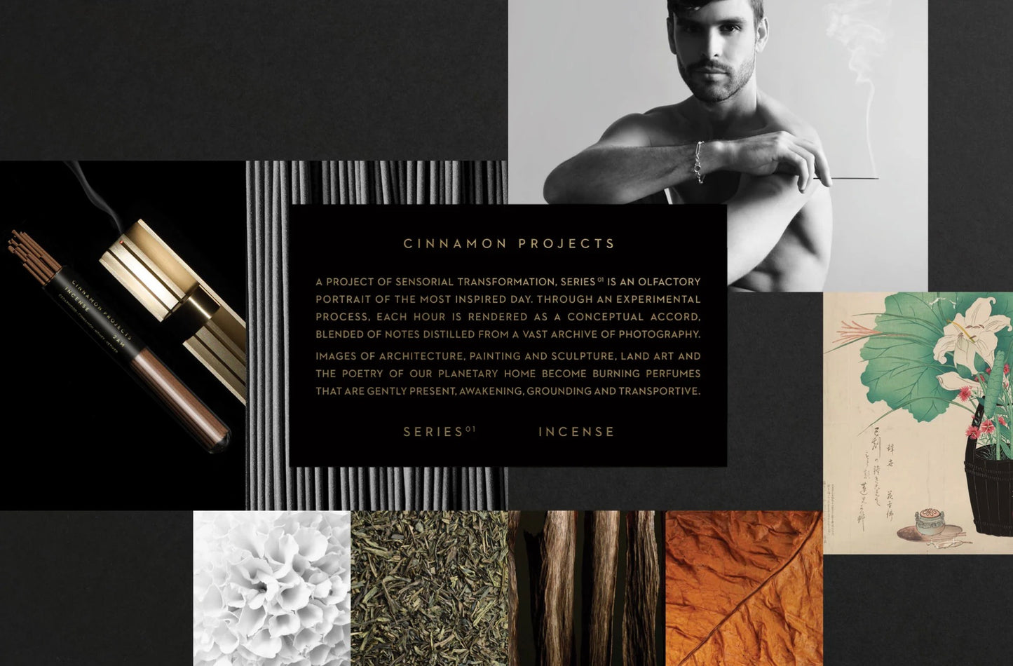 Cinnamon Projects 25 PIECES YOU ARE HERE INCENSE SERIES 02