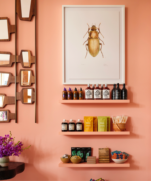 Eloin Rivera Framed Beetle Piece