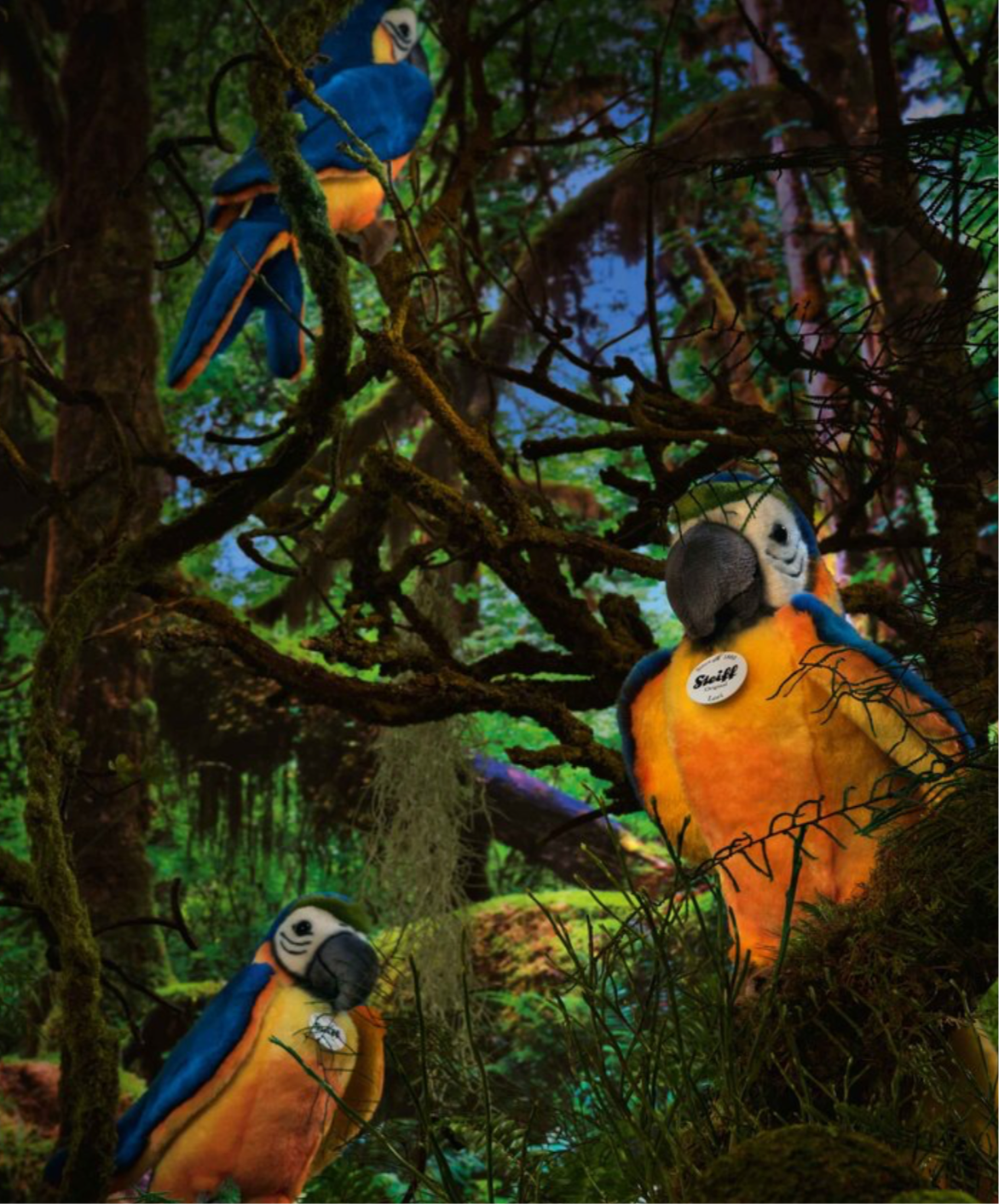 Steiff Plush-Lori Parrot