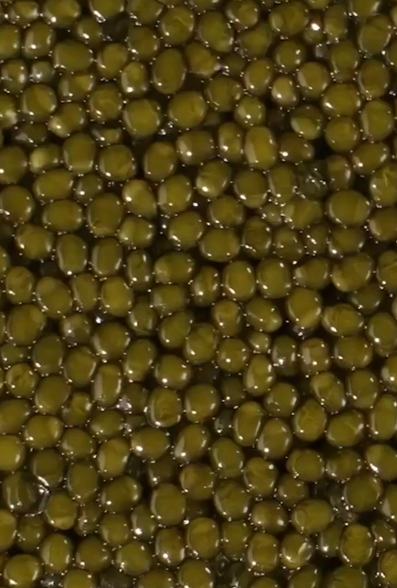 Petrossian Royal Ossetra Caviar 250g(serves 4-8)