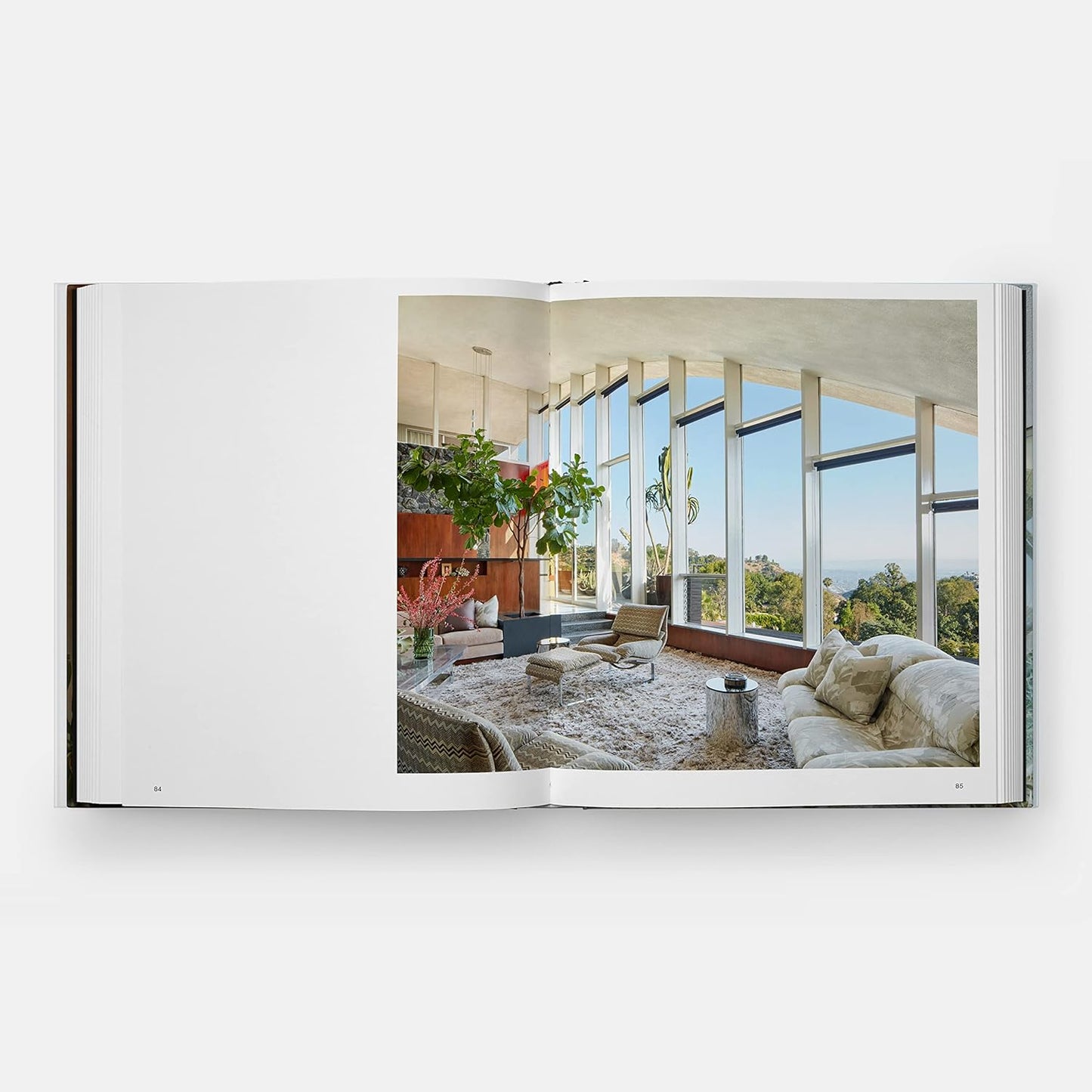 Beyond the Canyon: Inside Epic California Homes by Roger Davies