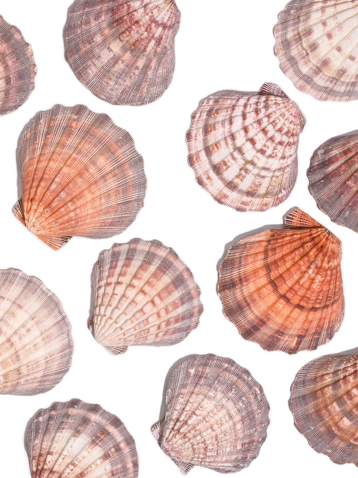 Faiza Naturals Smudge Bowls-Lions Paw