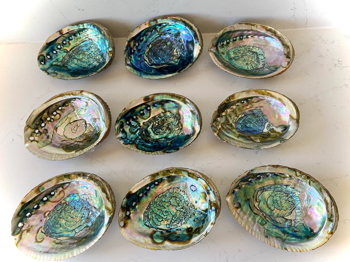 Faiza Naturals Smudge Bowls-Abalone
