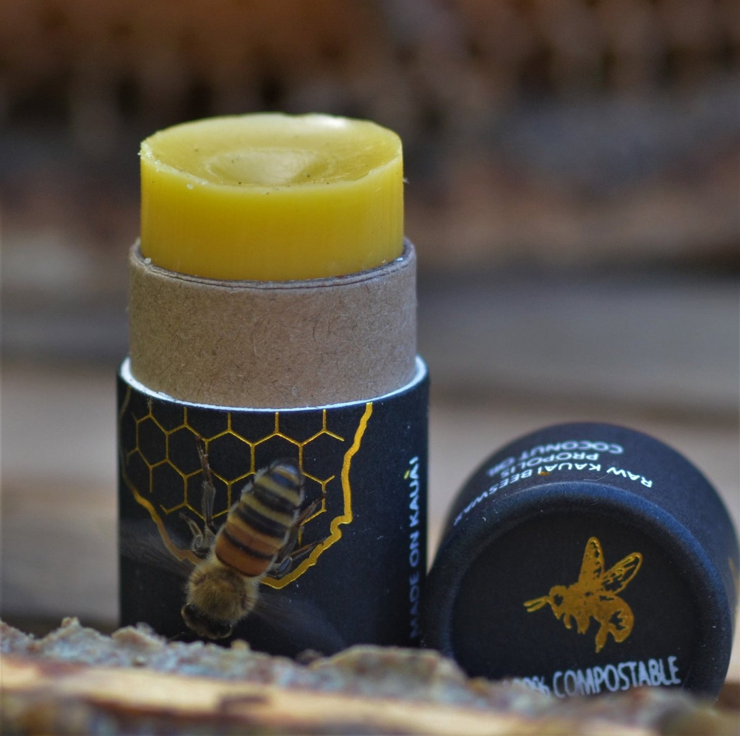 Kauai Bee Team Coconut Lip Balm