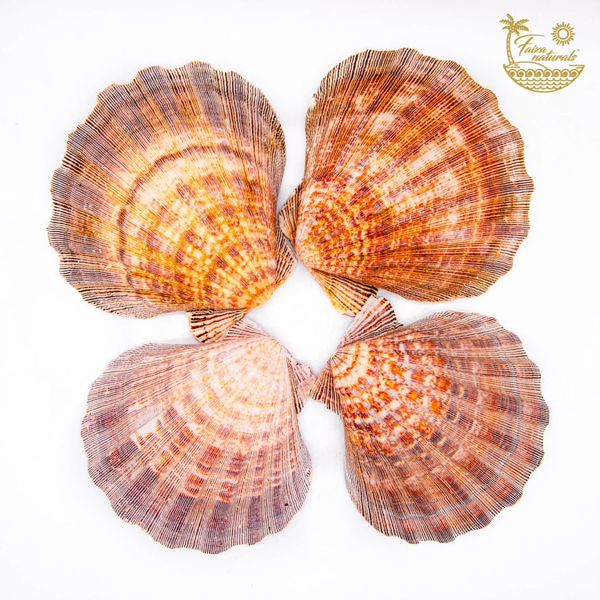 Faiza Naturals Smudge Bowls-Lions Paw